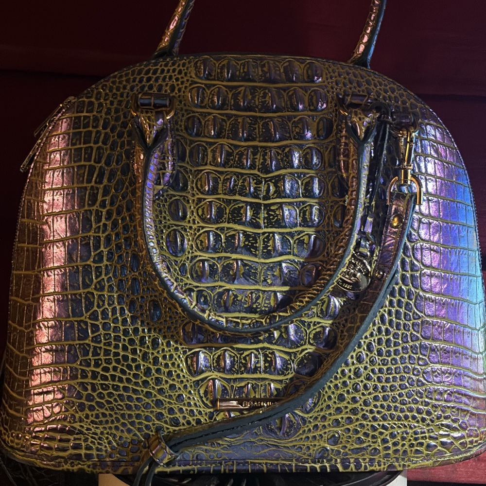 Brahmin Georgina illuminate nwt
